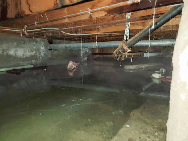 Water damage restoration process in Miamisburg, OH