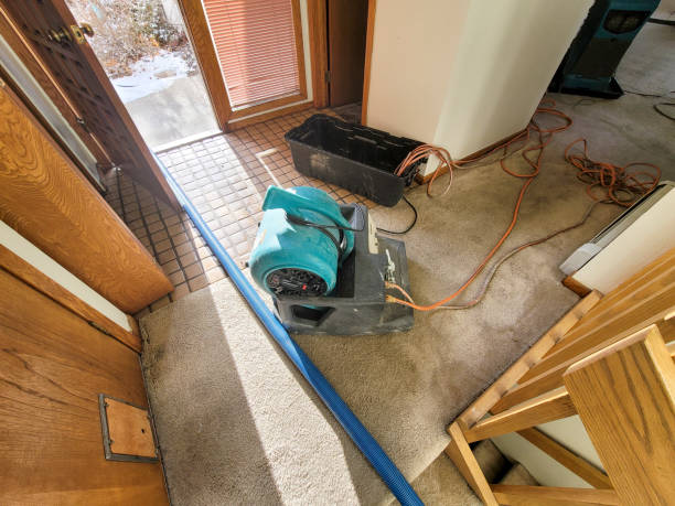 Best Carpet water damage restoration  in Miamisburg, OH
