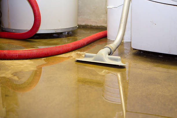 Best Local water damage restoration  in Miamisburg, OH